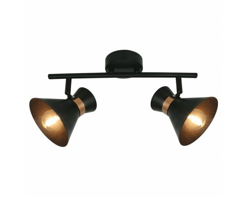Спот Arte Lamp Baltimore A1406AP-2BK Спот Arte Lamp Baltimore A1406AP-2BK