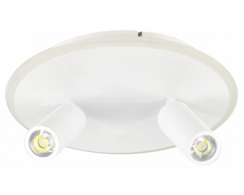 Светильник на штанге Escada 20046LED 20046SMA/02LED WH Светильник на штанге Escada 20046LED 20046SMA/02LED WH
