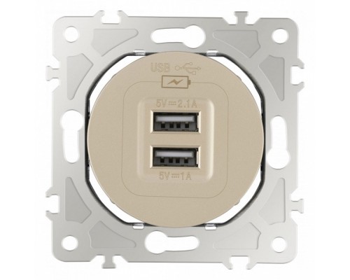 Розетка USB, без рамки Arte Milano am-202 202.46-1.shampan Розетка USB, без рамки Arte Milano am-202 202.46-1.shampan