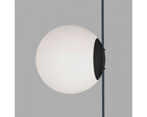 Накладной светильник Denkirs BELTY ORB DK5552-BK Накладной светильник Denkirs BELTY ORB DK5552-BK