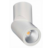 Светильник на штанге ST-Luce ST650 