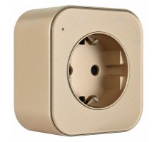 Розетка с заземлением на треке Arte Milano Am-track-sockets 380022TS/ES Gold