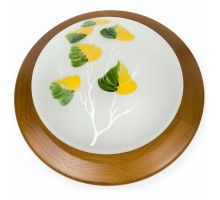 Накладной светильник TopLight Enilu TL9461Y-01OA