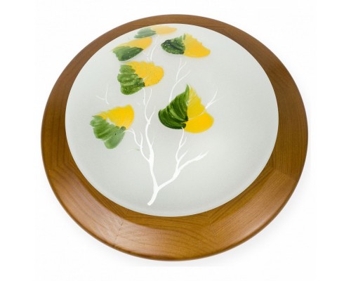 Накладной светильник TopLight Enilu TL9461Y-01OA