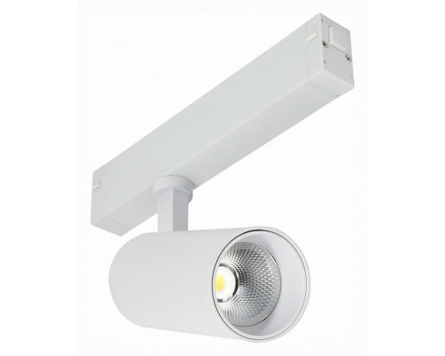 Светильник на штанге ST-Luce ST660 