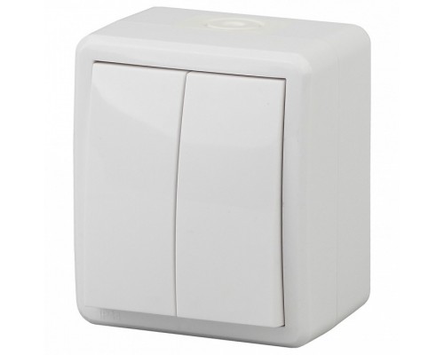 Выключатель двухклавишный Эра Эра Эксперт 11-1404-01