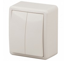 Выключатель двухклавишный Эра Эра Эксперт 11-1204-02