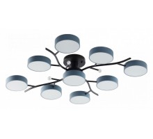 Потолочная люстра Arte Milano Ferrara 256606/8+1 Bk/Gr