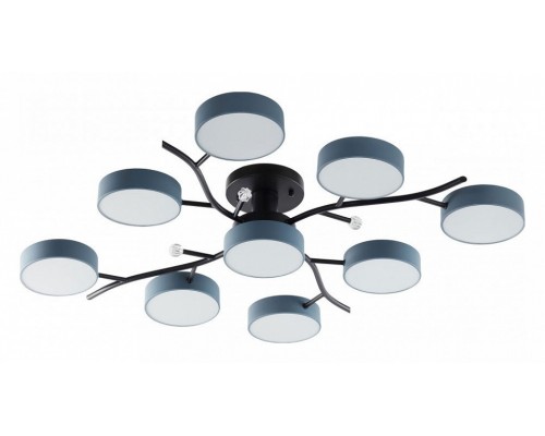 Потолочная люстра Arte Milano Ferrara 256606/8+1 Bk/Gr