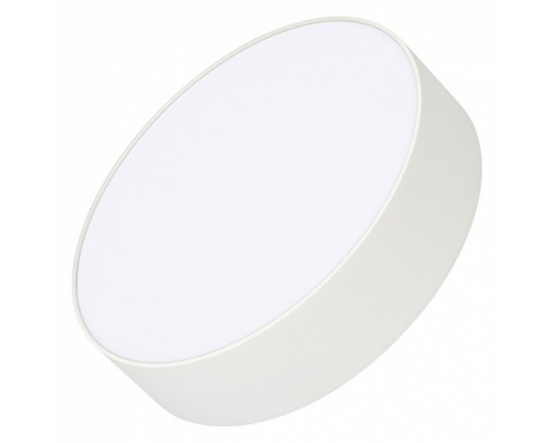 Накладной светильник Arlight RONDO 022230(2) Накладной светильник Arlight RONDO 022230(2)