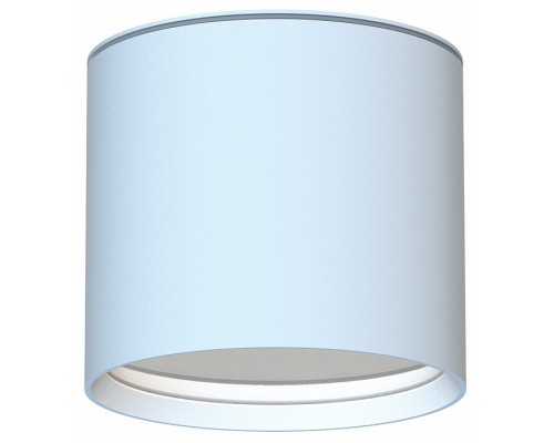 Накладной светильник Favourite Fantum 4664-1U