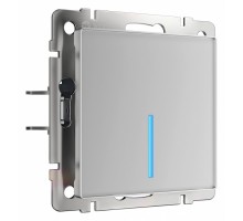 Выключатель сенсорый одноклавишный с подсветкой и функцией Wi-Fi, без рамки Werkel серебряный W4510606