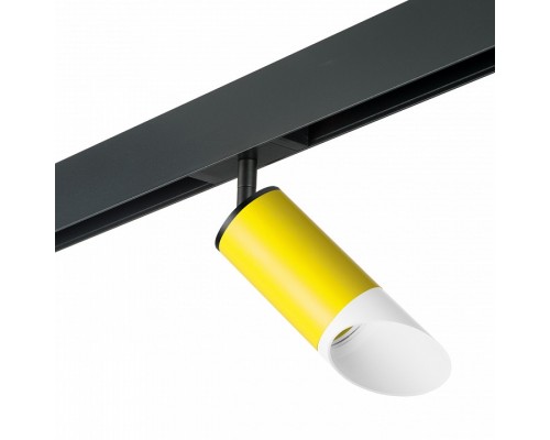 Светильник на штанге Lightstar Rullo PRO43336 Светильник на штанге Lightstar Rullo PRO43336