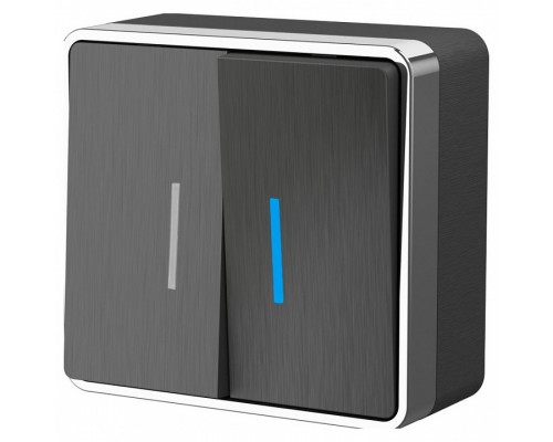 Выключатель двухклавишный с подсветкой Werkel Gallant 3 W5020104 Выключатель двухклавишный с подсветкой Werkel Gallant 3 W5020104