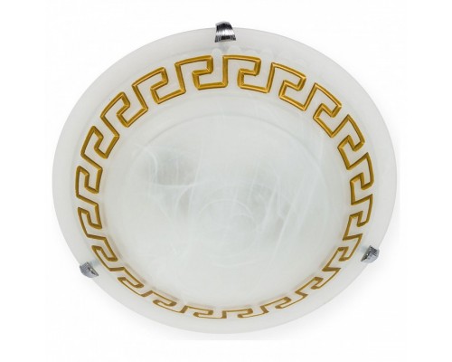 Накладной светильник TopLight Gien TL9171Y-02BN