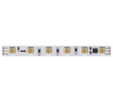 Лента светодиодная Arte Lamp Spi A2406010-03-3K