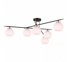 Потолочная люстра ILLUMICO IL0446 IL0446-6CSQ-24 BK AB LIBRA