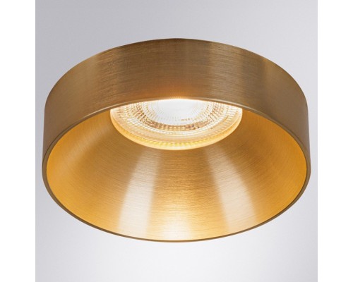 Накладной светильник Arte Lamp Ramo A1240PL-1SG