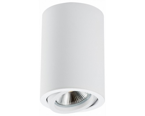 Накладной светильник Lightstar Rullo 214406 Накладной светильник Lightstar Rullo 214406