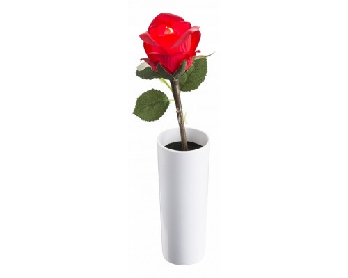 Ночник Globo Orphelia 28025