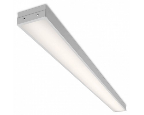 Накладной светильник WoltaPRO ГИМНАЗИСТ ДПО02-54-101-4К