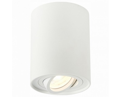 Спот ST-Luce Torus Спот ST-Luce Torus
