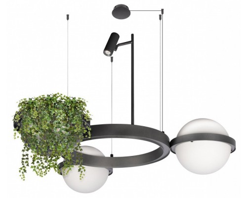 Подвесная люстра Loft it Jardin 10121/2 Dark grey Подвесная люстра Loft it Jardin 10121/2 Dark grey