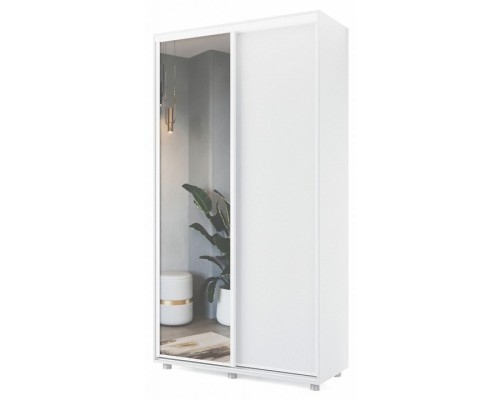 Шкаф-купе Удачный