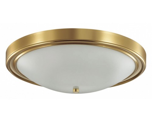 Накладной светильник Lumion Nina 5259/4C Накладной светильник Lumion Nina 5259/4C