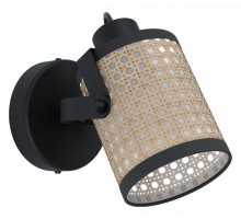 Спот Eglo ПРОМО Ruscomb 43493