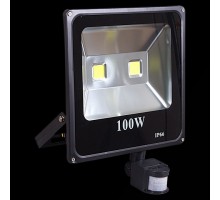 Настенный прожектор  54100-0.2-001QY LED100W+SENSOR BK