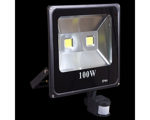 Настенный прожектор 54100-0.2-001QY LED100W+SENSOR BK Настенный прожектор 54100-0.2-001QY LED100W+SENSOR BK