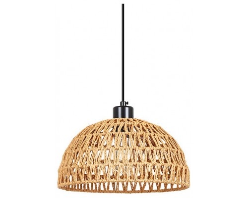 Подвесной светильник Arte Lamp BRUSHWOOD A7086SP-1BK