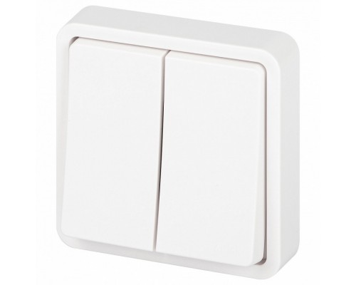 Выключатель двухклавишный Эра Эра Эксперт 11-1524-01