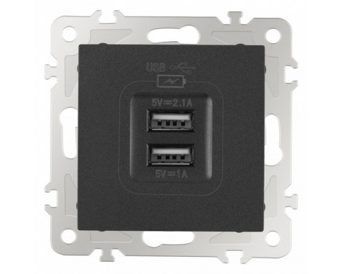 Розетка USB, без рамки Arte Milano am-206 206.46-1.black