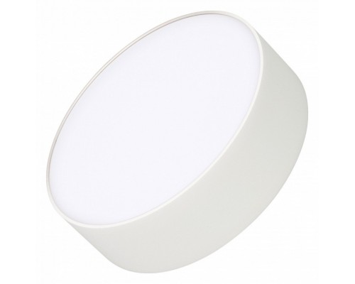 Накладной светильник Arlight RONDO 022228(2) Накладной светильник Arlight RONDO 022228(2)