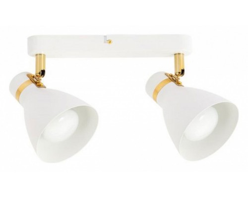 Спот Arte Lamp Fafnir A5047PL-2WH Спот Arte Lamp Fafnir A5047PL-2WH