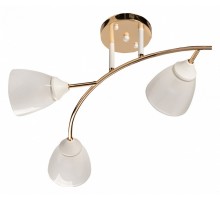 Потолочная люстра De City Восторг 25 242017903