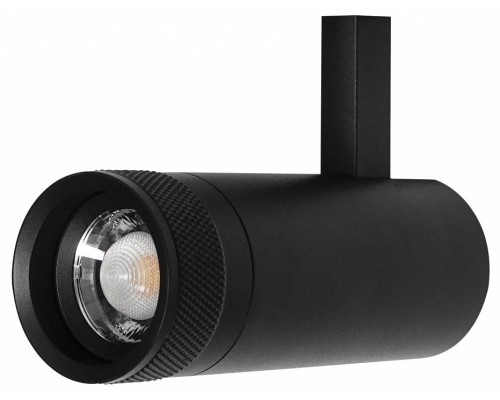 Светильник на штанге Lightstar Canno Pro 304127