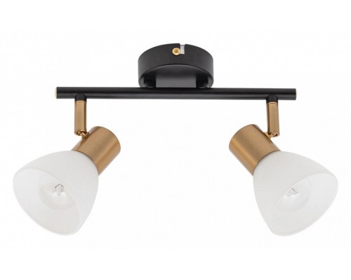 Спот Arte Lamp Falena A3117PL-2BK Спот Arte Lamp Falena A3117PL-2BK