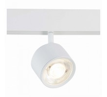 Светильник на штанге ST-Luce Vedo 