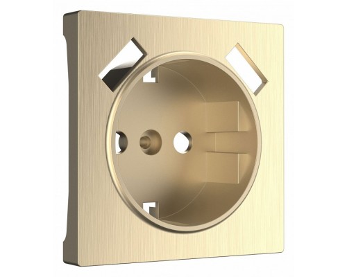 Накладка для розетки с заземлением и 2хUSB Werkel Шампань рифленый W1179510 Накладка для розетки с заземлением и 2хUSB Werkel Шампань рифленый W1179510