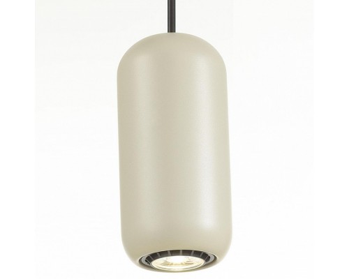 Подвесной светильник Odeon Light Cocoon 5060/1G Подвесной светильник Odeon Light Cocoon 5060/1G