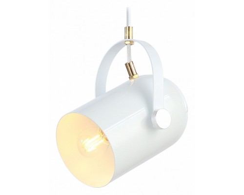 Подвесной светильник Ambrella Light TR TR8205