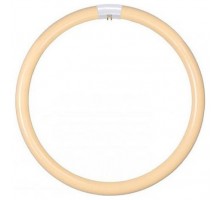 Лампа компактная люминесцентная Lucide 50300 G10q 32Вт 2700K 50300/32/31