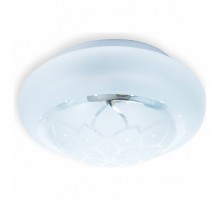 Накладной светильник TopLight Cori TL9550Y-02WH