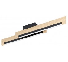 Накладной светильник Eglo CAMACHO 901736