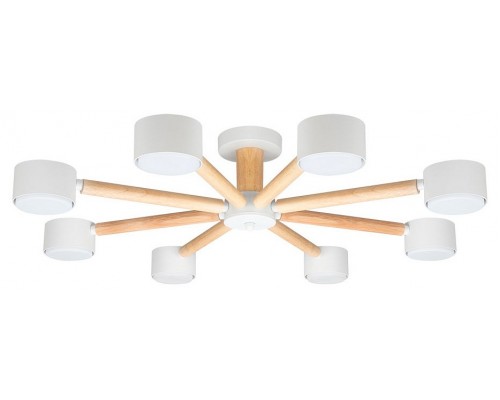 Потолочная люстра Arte Lamp TENDA A1624PL-8WH