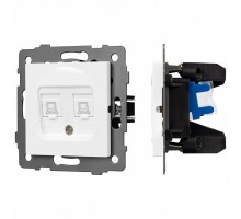 Розетка двойная RJ-12 и Ethernet RJ-45, без рамки Arlight SCT 049854