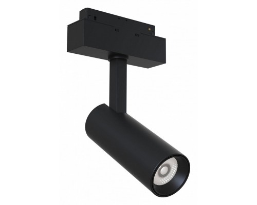 Светильник на штанге Maytoni Track lamps TR019-2-10W3K-B